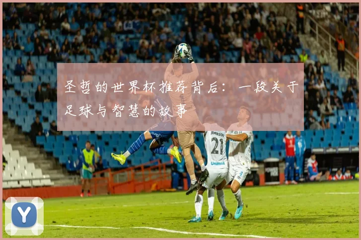 圣哲的世界杯推荐背后：一段关于足球与智慧的故事