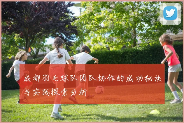 成都羽毛球队团队协作的成功秘诀与实践探索分析