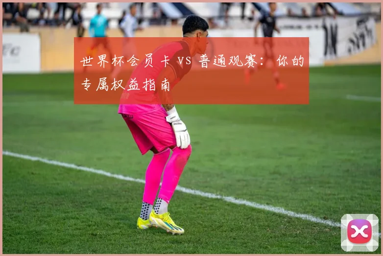世界杯会员卡 vs 普通观赛：你的专属权益指南