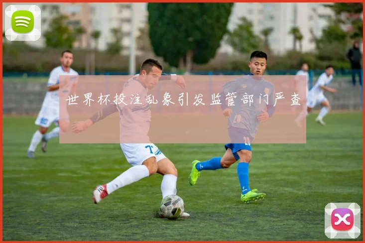 世界杯投注乱象引发监管部门严查