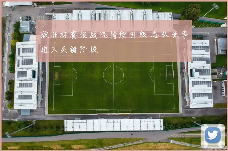 欧洲杯赛场战况持续升级 各队竞争进入关键阶段