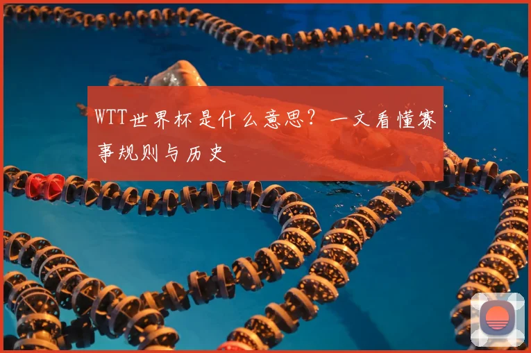 WTT世界杯是什么意思？一文看懂赛事规则与历史