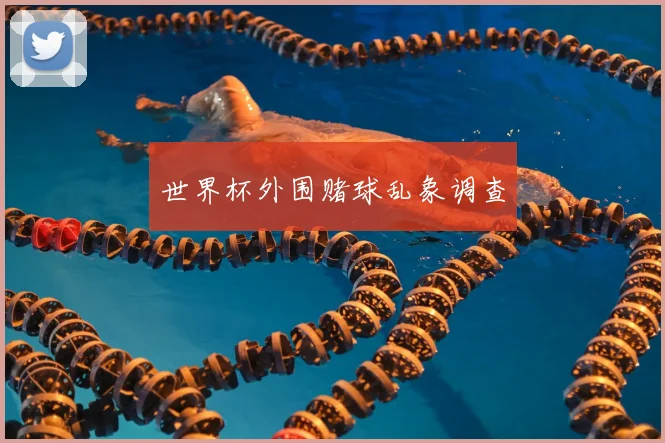 世界杯外围赌球乱象调查