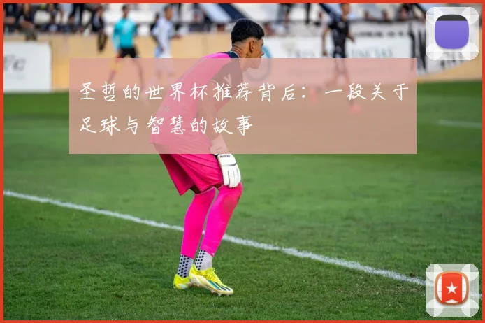 圣哲的世界杯推荐背后：一段关于足球与智慧的故事