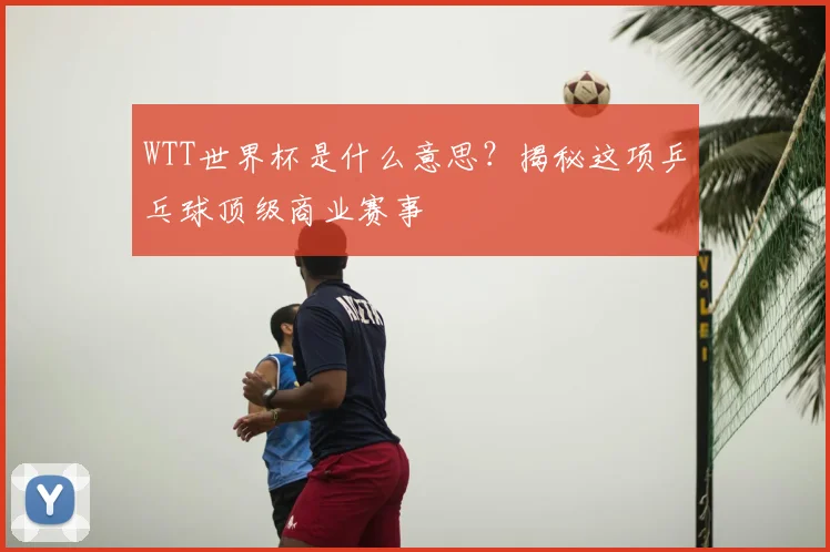 WTT世界杯是什么意思?揭秘这项乒乓球顶级商业赛事