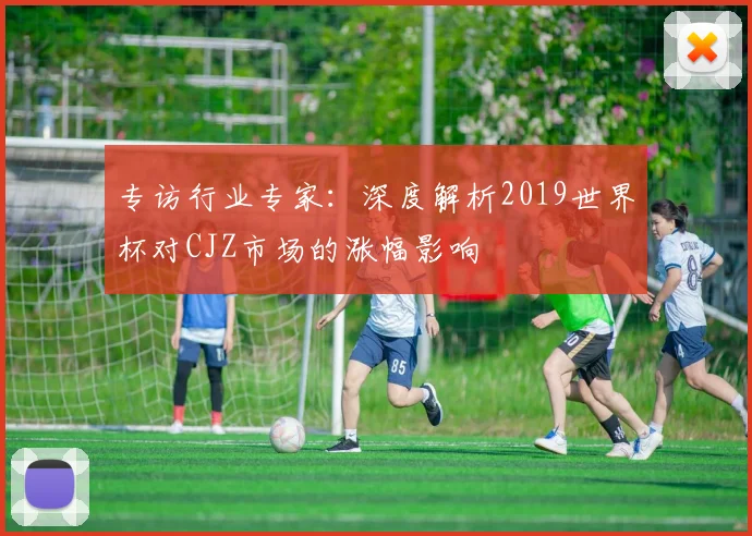 专访行业专家：深度解析2019世界杯对CJZ市场的涨幅影响