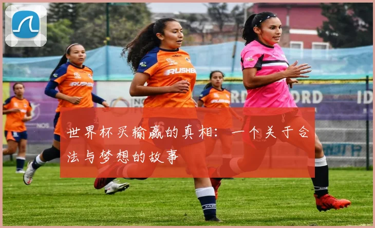 世界杯买输赢的真相:一个关于合法与梦想的故事